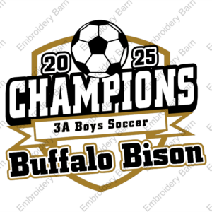 Boys Soccer Champions